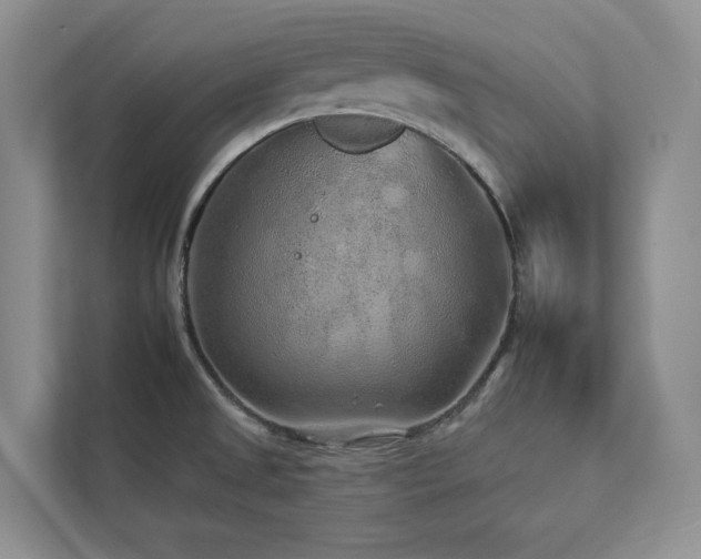 X0000112931525200908241250