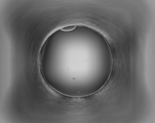 X0000112931526200908241250