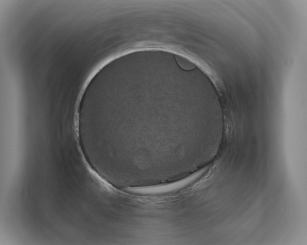 X0000112931527200908241250