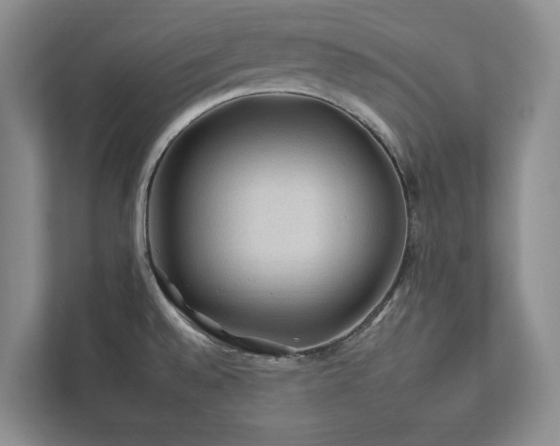 X0000112931528200908241250