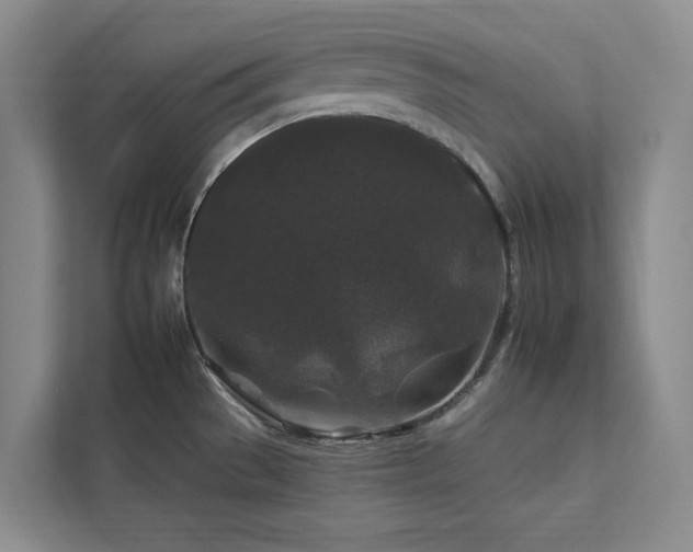 X0000112931529200908241250
