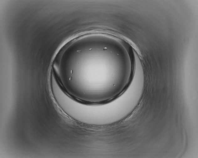 X0000112931530200908241250