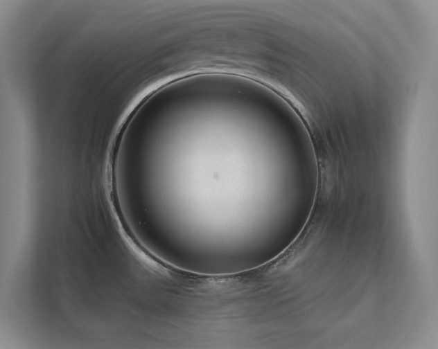X0000112931531200908241250