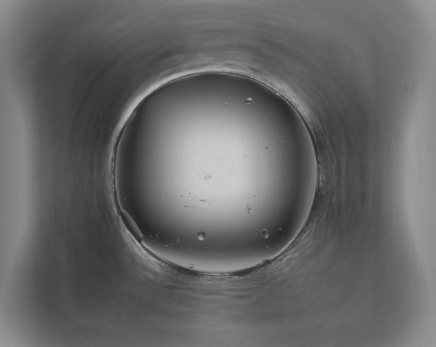 X0000112931532200908241250