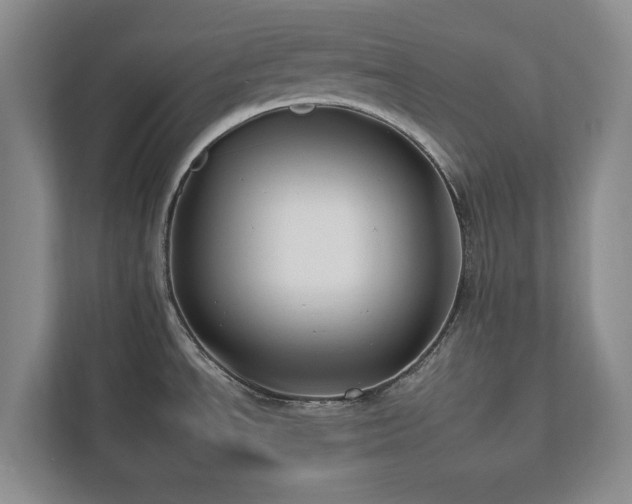 X0000112931534200908241250
