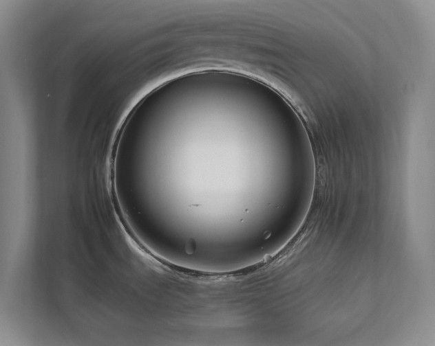 X0000112931535200908241250