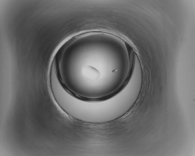 X0000112931536200908241250