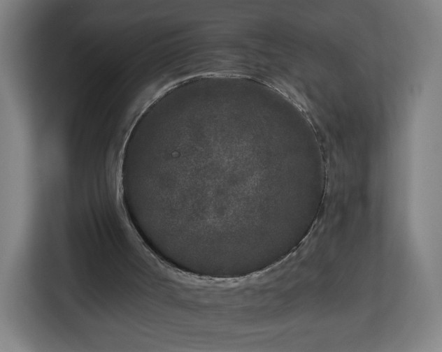 X0000112930002200908311327