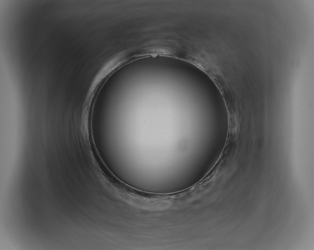 X0000112930004200908311327