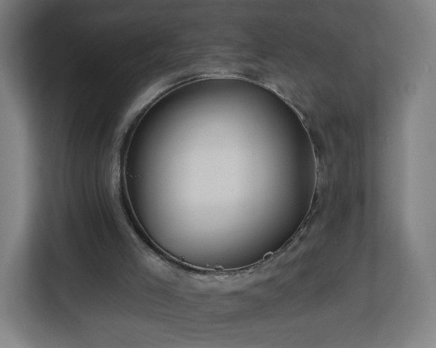 X0000112930005200908311327