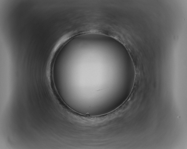 X0000112930006200908311327