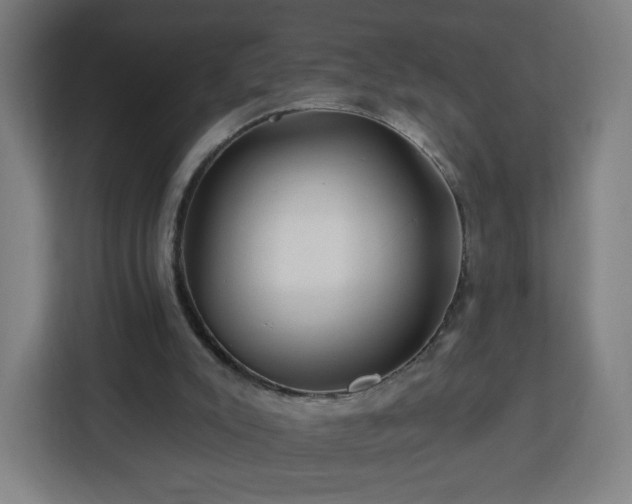 X0000112930007200908311327