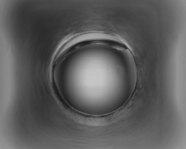 X0000112930008200908311327