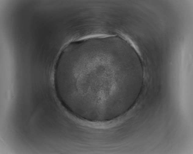 X0000112930010200908311327