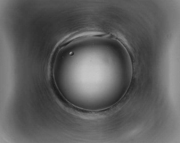 X0000112930012200908311327