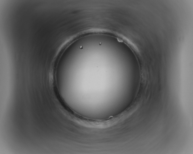 X0000112930015200908311327