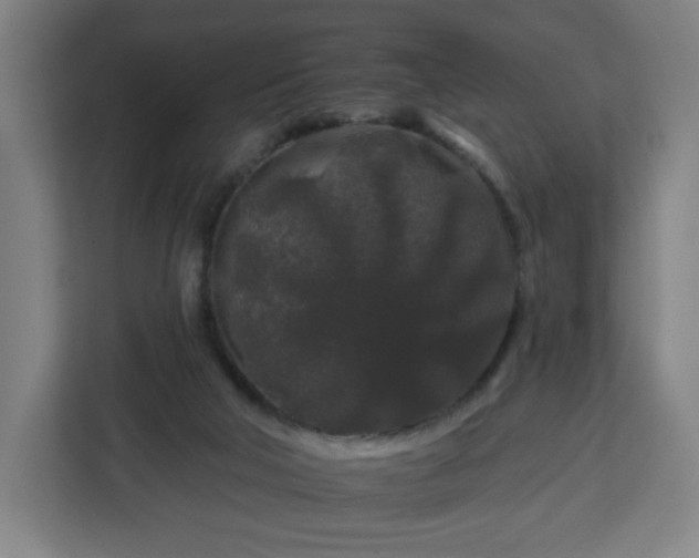 X0000112930018200908311326