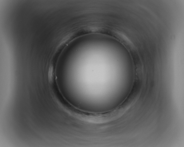 X0000112930024200908311326