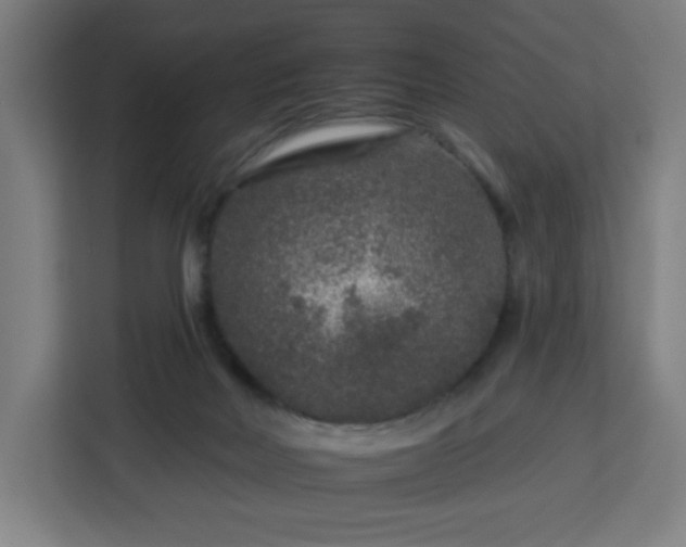 X0000112930026200908311326