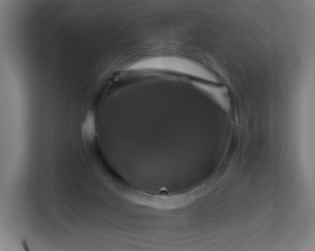 X0000112930027200908311326