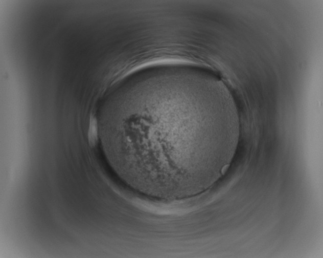 X0000112930028200908311326