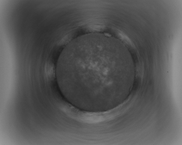 X0000112930029200908311326