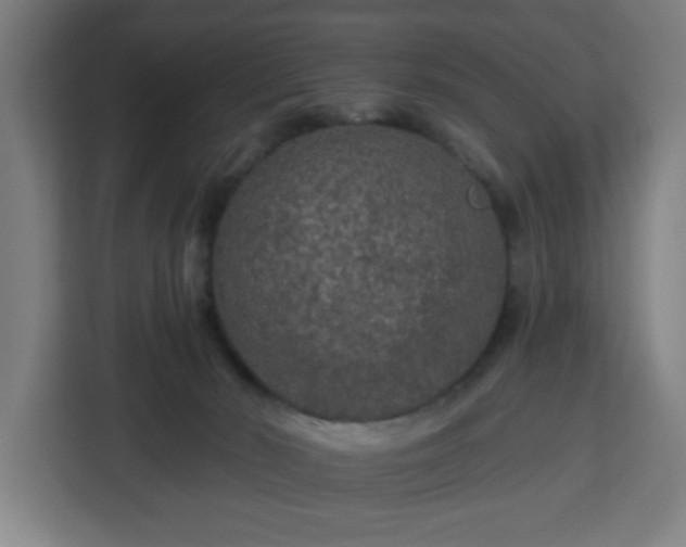 X0000112930030200908311326