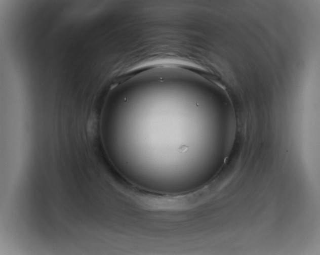 X0000112930036200908311326