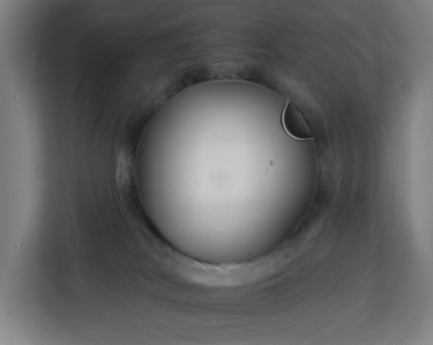 X0000112930038200908311326