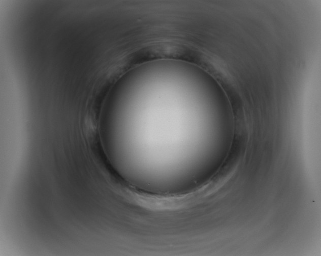 X0000112930040200908311326