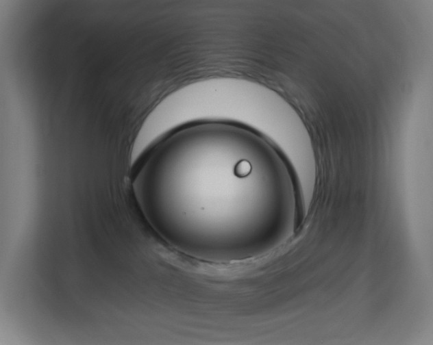 X0000112930041200908311326