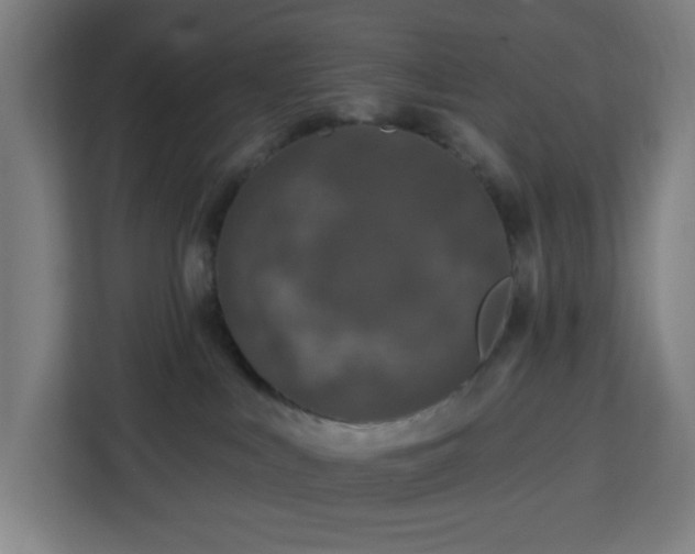 X0000112930043200908311326