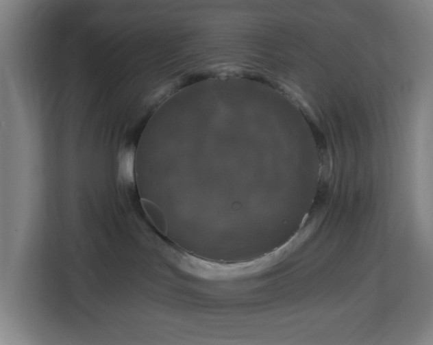 X0000112930047200908311326