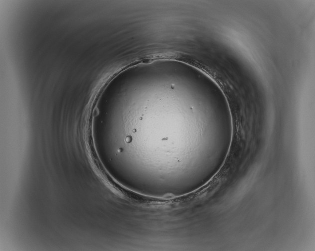 X0000112930049200908311325