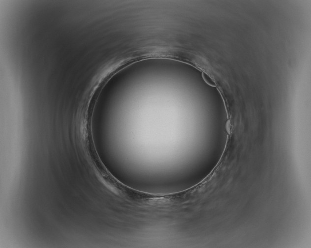 X0000112930050200908311325