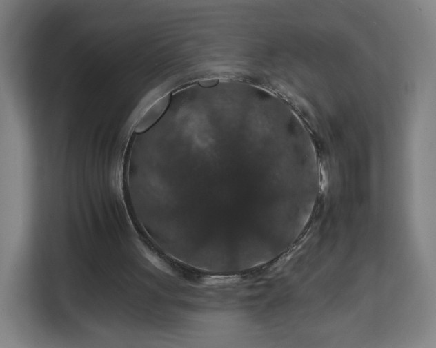 X0000112930051200908311325