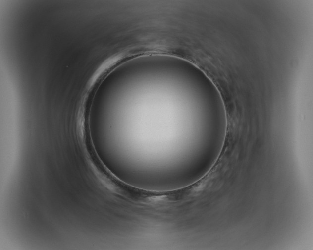 X0000112930054200908311326