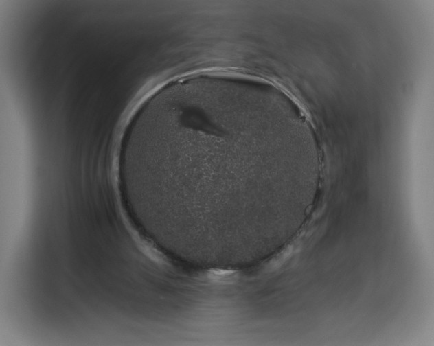 X0000112930055200908311326