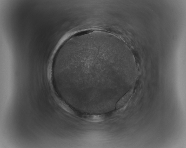 X0000112930056200908311326