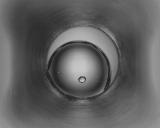 X0000112930057200908311326