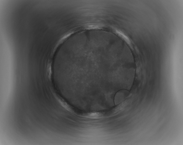 X0000112930059200908311326