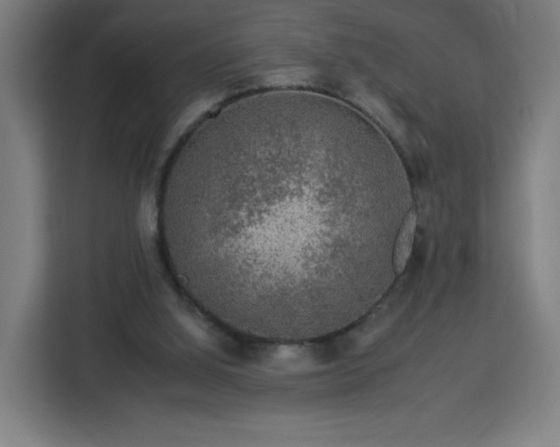 X0000112930060200908311326