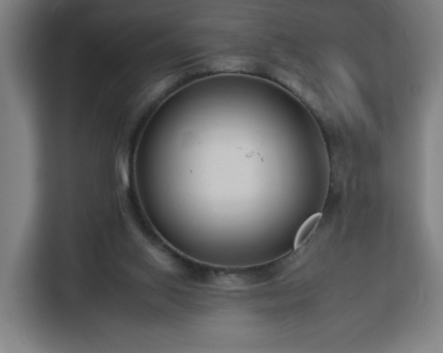 X0000112930062200908311326