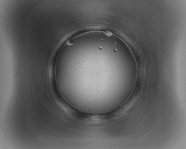 X0000112930064200908311326