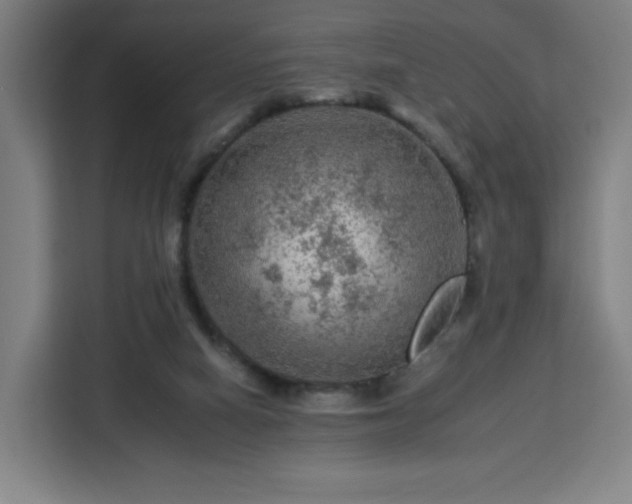 X0000112930066200908311326