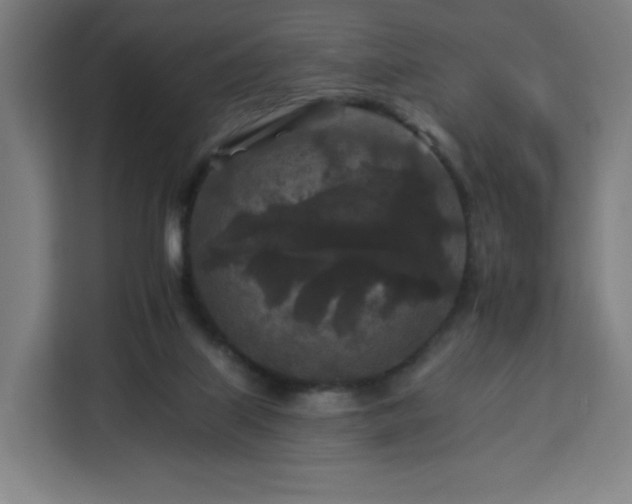 X0000112930067200908311326