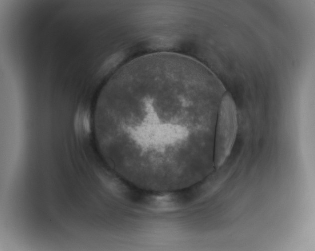 X0000112930068200908311326