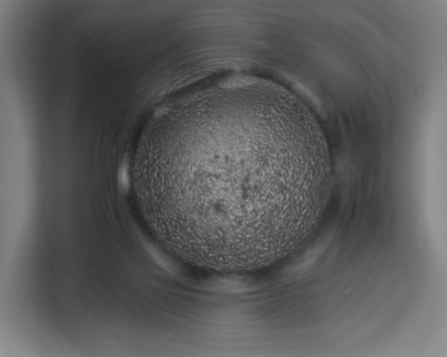 X0000112930069200908311326