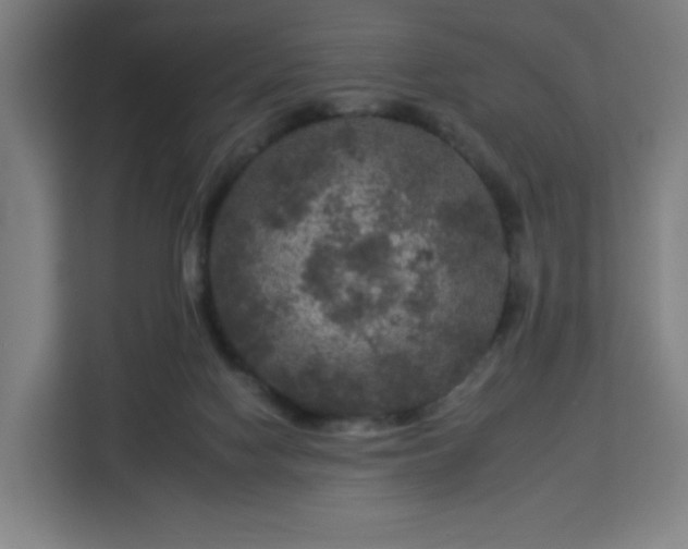 X0000112930074200908311326