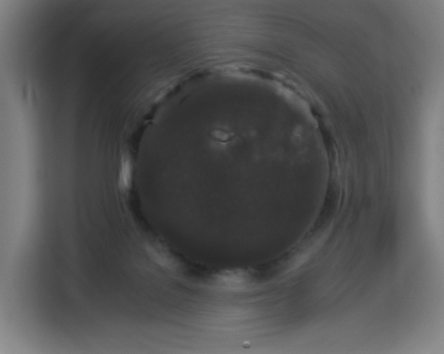 X0000112930076200908311326